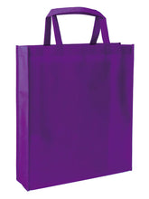 Tote Bag - 380 (w) x 420 (h) x 100 (d)