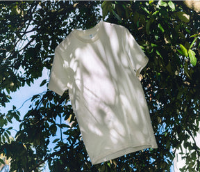 5001G STAPLE ORGANIC TEE